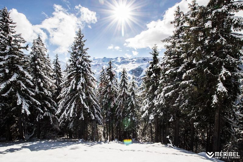 Prices & Availability 2025-26